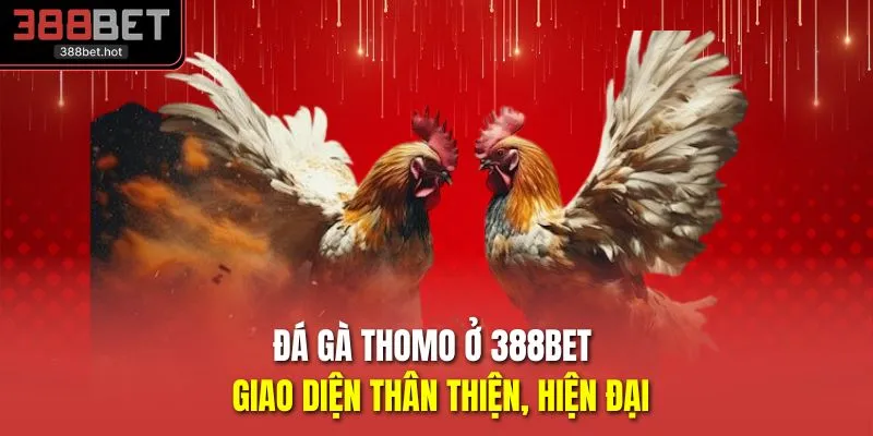 Đá Gà Thomo Ở 388BET - Giao Diện Thân Thiện, Hiện Đại