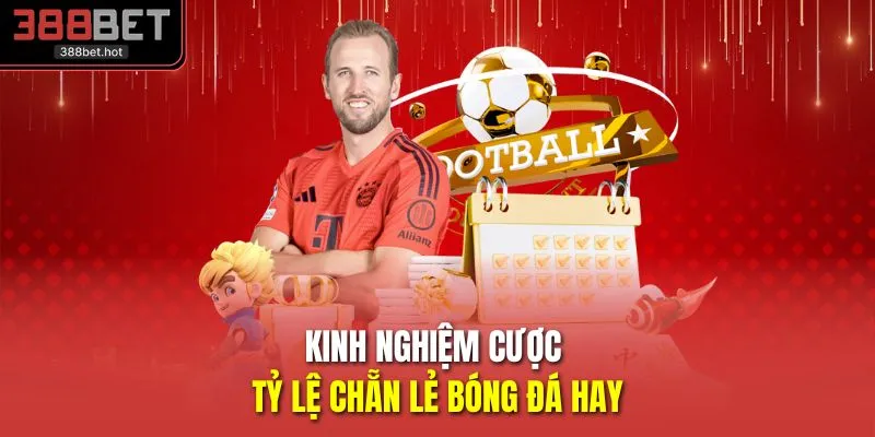 Kinh nghiệm cược tỷ lệ chẵn lẻ bóng đá hay
